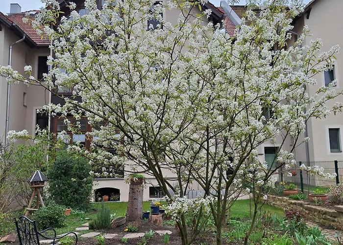 Appartement Zillestuben *