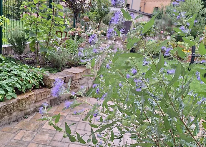 Zillestuben Apartman *